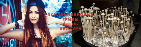 амф Алексеевка