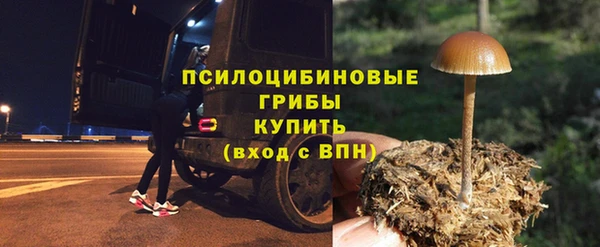 марки lsd Абаза