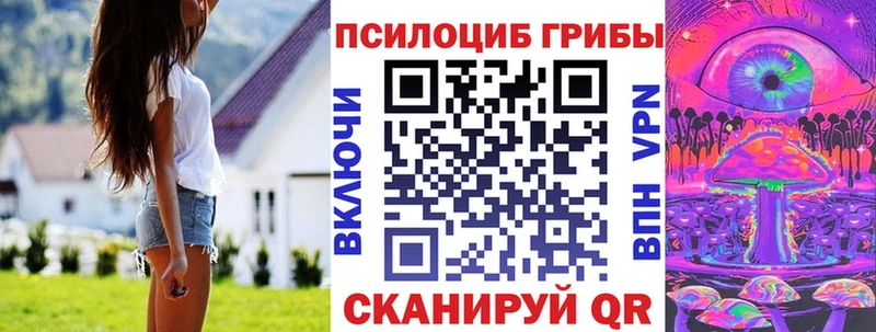 Галлюциногенные грибы Psilocybine cubensis  Таштагол 
